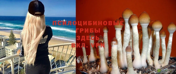ешки Верея